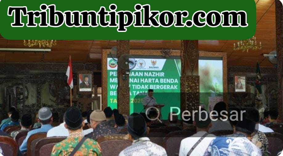 IMG-20251101-WA0033(1)