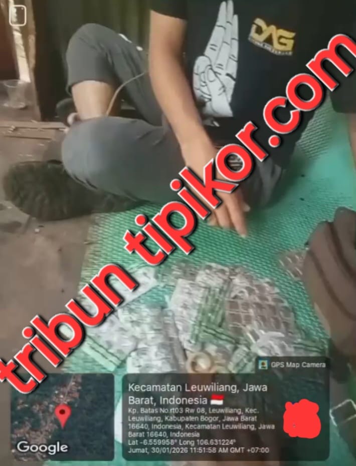 IMG-20260201-WA0014(1)