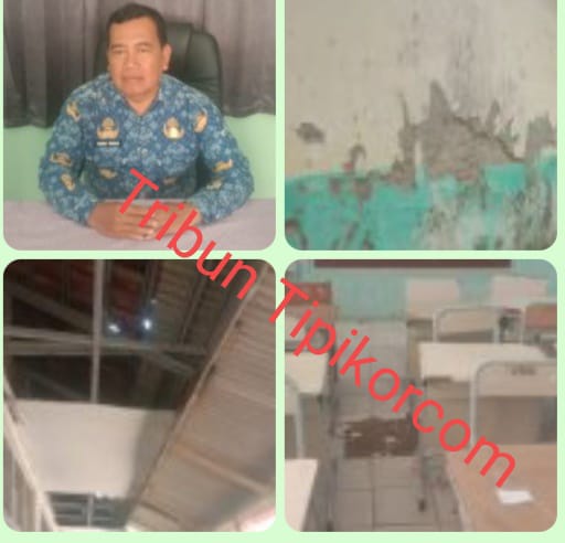 IMG-20260717-WA0029