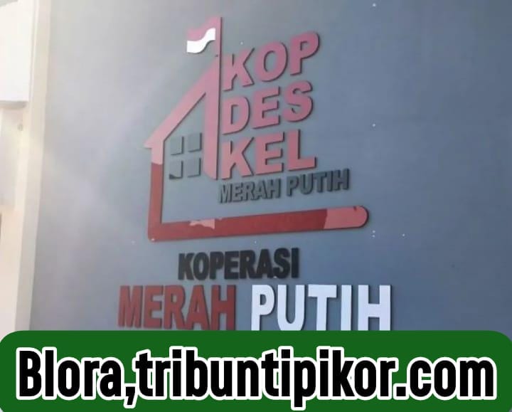 IMG-20260726-WA0038(2)