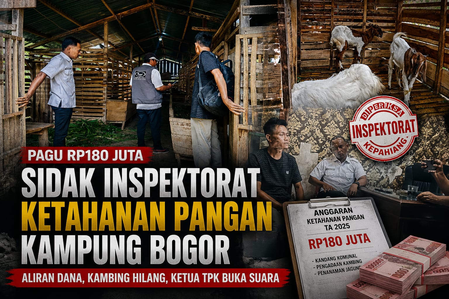 IMG-20260813-WA0005